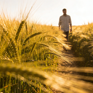 《平凡生活里的温暖微光》子文-鼓舞人心-流行
