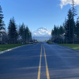 Canon in D Ensemble-混乱卡农（严霜 remix）