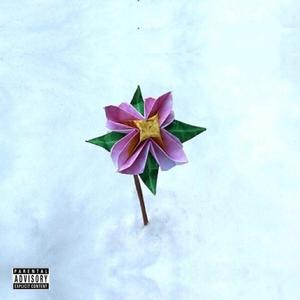 Do Not Disturb (Interlude)