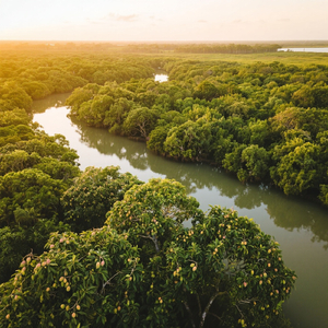 Pra Empurrar pra Trás