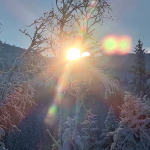 MiracleFloW Winter