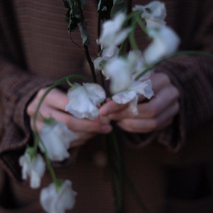 リングワンデリング