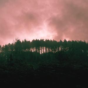 Past Lives (feat. Sonant)