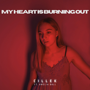 My Heart Is Burning Out