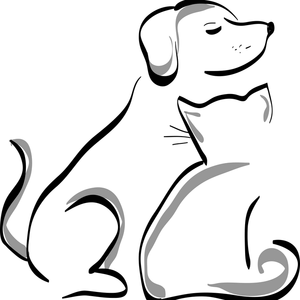一腔诗意喂了狗