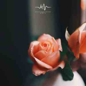 洒落烛光 (古筝+雨声)