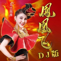 凤凰飞 (DJ版)