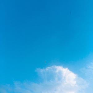 水中花（翻唱）.wav