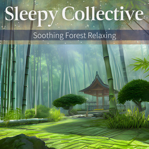 Restorative Silence in Solitude