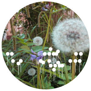 Need Love (Henry L Remix)