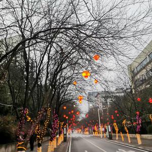 半壶纱（翻自 由甲）