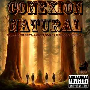 CONEXION NATURAL