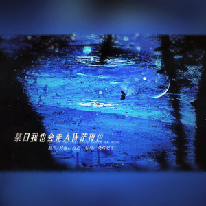 某日我也会走入昏茫夜色