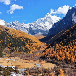 茅十八&荔枝语录