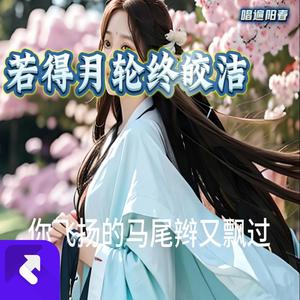 若得月轮终皎洁 (现场)