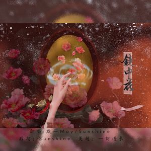 镜中花