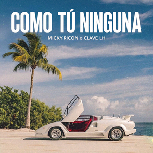 Como Tú Ninguna