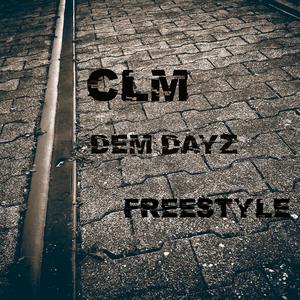 Dem Dayz FreeStyle