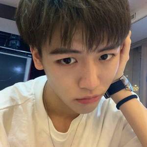 你是人间四月天