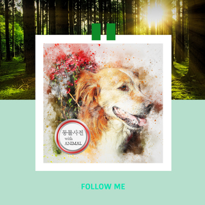 팻의 흥분을 가라 앉히는 진정용 음악