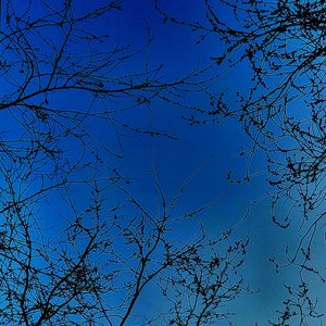 你是我按停闹钟还想继续 的梦