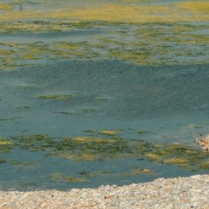 [BEAT]'Purple'- K-POP Type Beat