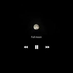 梦里梦外都是你