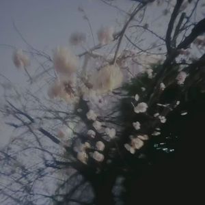 f2881b0a-ff3b-4406-a5d8-1dfc0b2a4c52