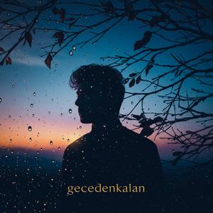 Heyecanını kaybetmişsin, duydum beni özlememişsin..