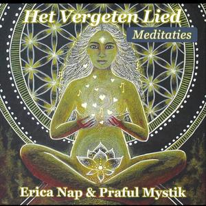 De muziek van de stilte (feat. Praful Mystik)