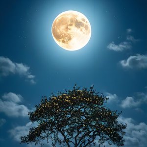 喜马拉雅的山顶有佛的轮廓