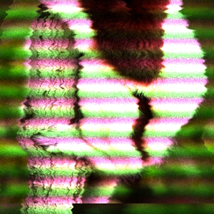 Complex Physical