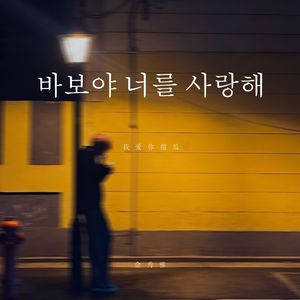 我爱你傻瓜（바보야 너를 사랑해）