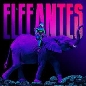 Elefantes