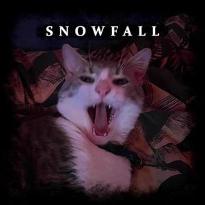 Snowfall