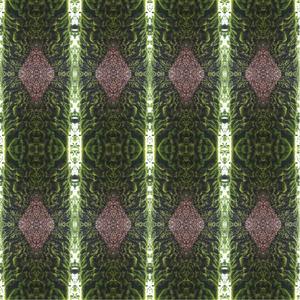 World Travel Of The Piano Tuner