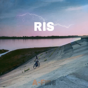 Ris