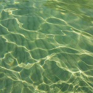 Paper Skies, Open Windows