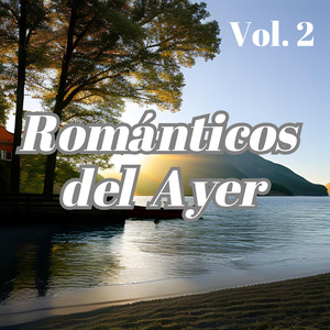 Requinto de Alta Gama Marca Wilian Castillo Requintista