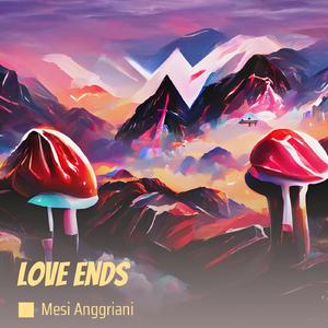 Love Ends