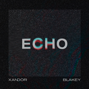 Echo