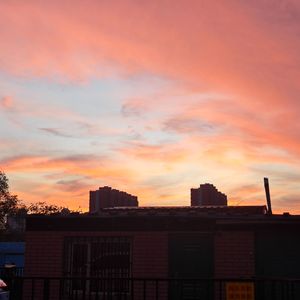 鸡蛋鸭蛋荷包蛋