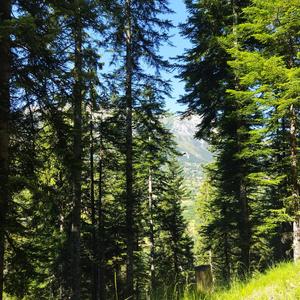 Mystical Heart Ascetism Tranquil Harmonious Breathe