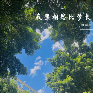 夜里相思比梦长