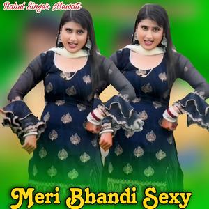 Meri Bhandi Sexy