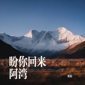 盼你归来 阿湾