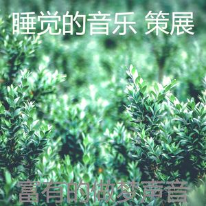 一尘不染睡眠印象数