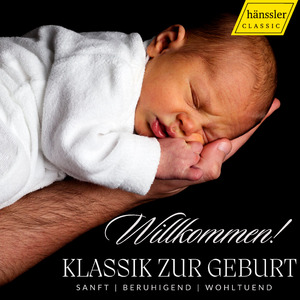 Violin Concerto in D Major, Op. 61:II. Larghetto