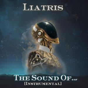 The Sound Of... (Instrumental)