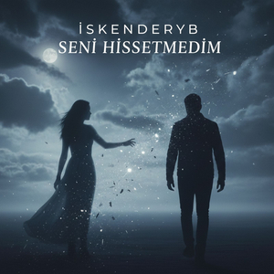 Seni Hissetmedim